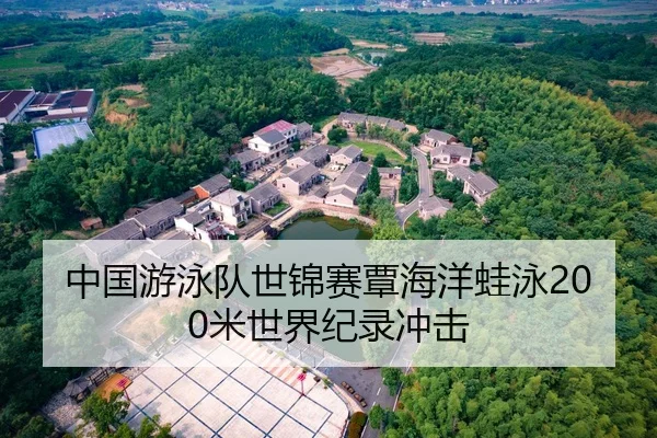 中国游泳队世锦赛覃海洋蛙泳200米世界纪录冲击